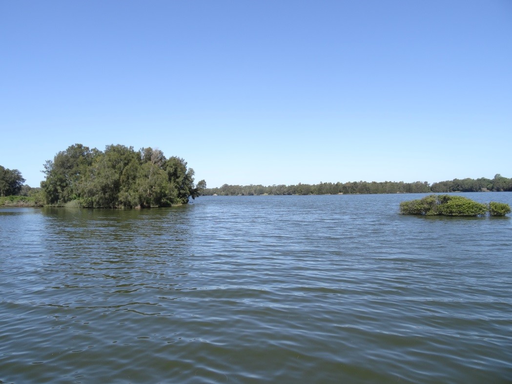 Moorebank residents oppose sculpture at Clinches Pond