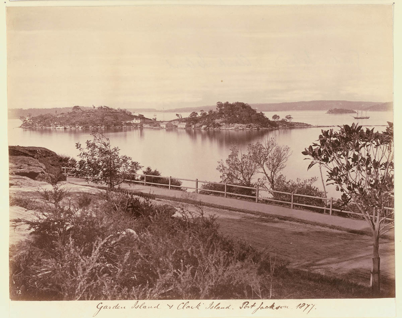 Clark Island The Dictionary of Sydney